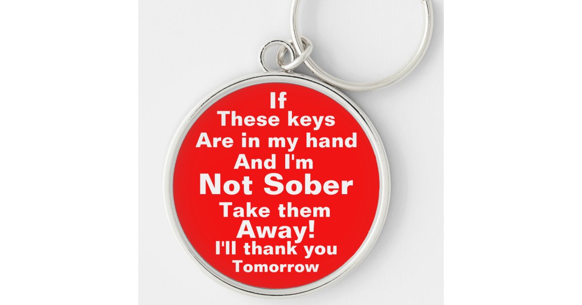 Take my keys please keychain Zazzle