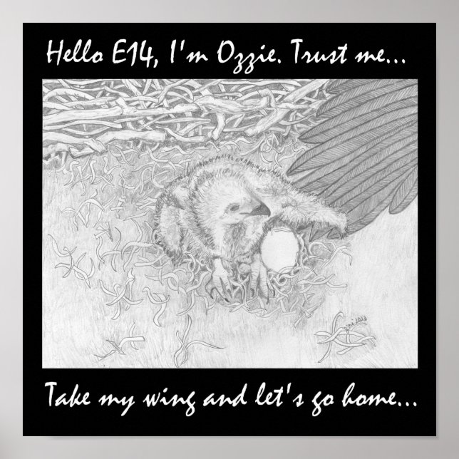 TAKE MY WING LET'S GO HOME SAVE WILDLIFE POSTER (Front)