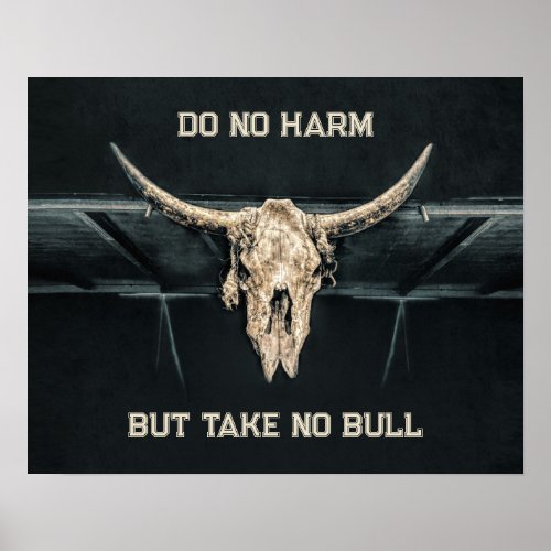Take No Bull Skull Country Beige Gray Western  Poster
