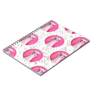 Take-off llama notebook