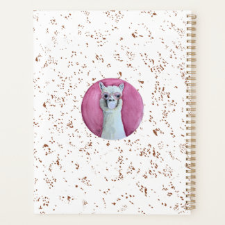 Take-off llama planner