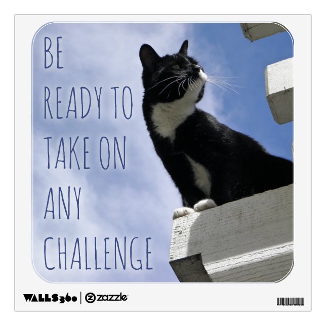 Take on any Challenge Motivational Cat Wall Decal (Front)