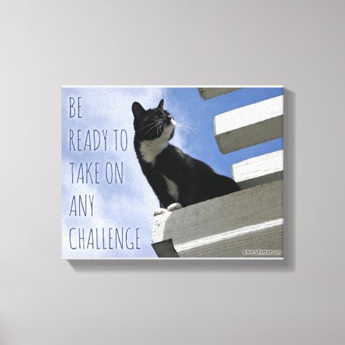 Take Over the World Cute Cat Motivation Canvas Print