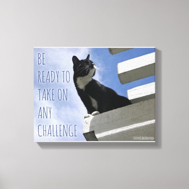 Take Over the World Cute Cat Motivation Canvas Print (Front)