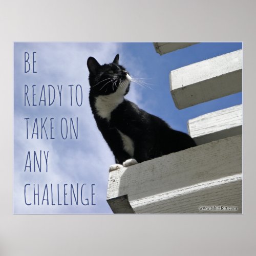 Take Over the World Cute Motivation Poster