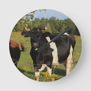 Take the Bull by the Horns Round Clock