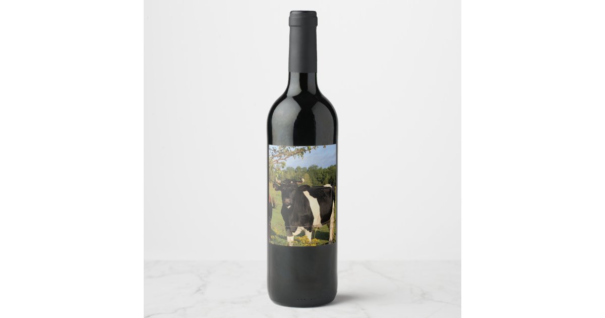 wine-glass-with-bull-horns