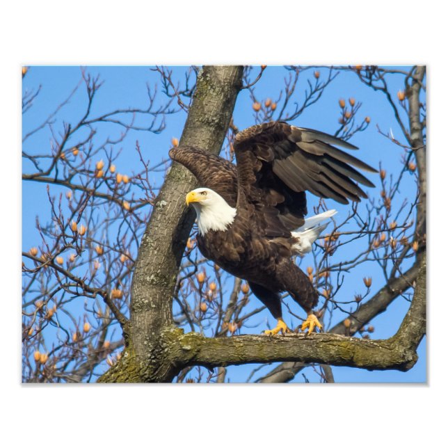 Take The Leap! Photo Print (Front)
