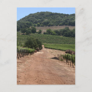 Take the Road less Traveled Postcard