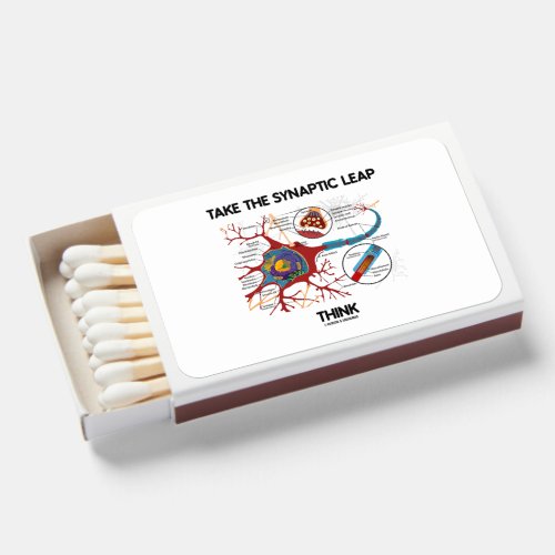 Take The Synaptic Leap Think Neuron Synapse Matchboxes