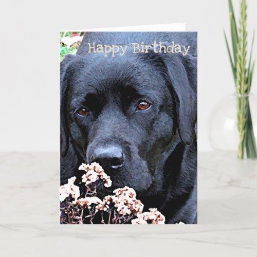 Take Time _ Black Lab _ Black Labrador Card