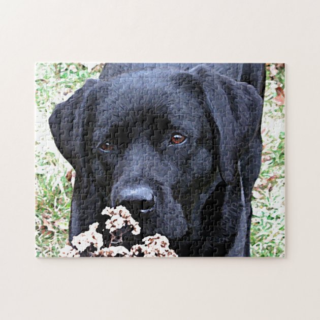 labrador jigsaw puzzle