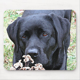 Take Time - Black Lab - Black Labrador Mouse Pad