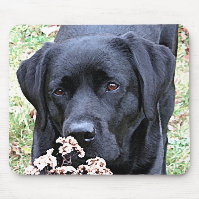 Take Time - Black Lab - Black Labrador Mouse Pad (Front)