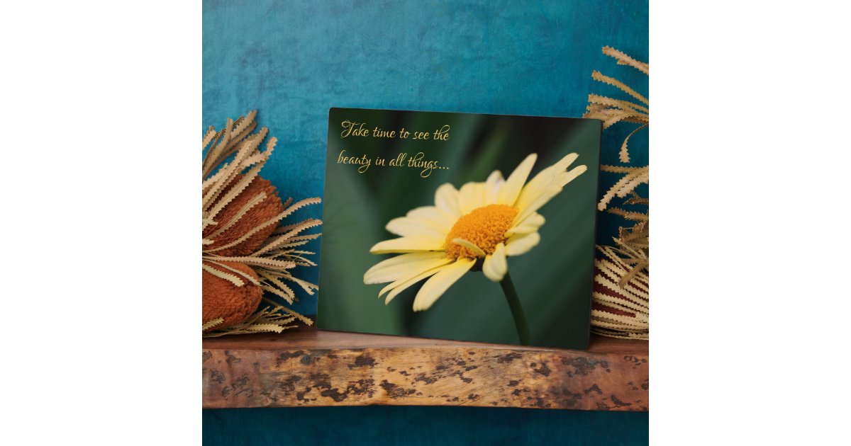 Take Time To Appreciate Daisy Inspirational Quote Plaque | Zazzle