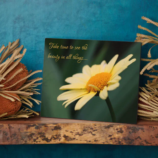 Take Time To Appreciate Daisy Inspirational Quote Plaque | Zazzle