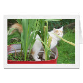 TAKE TIME TO PLAY IT IS "YOUR BIRTHDAY" (Front Horizontal)