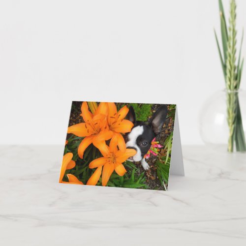 Take time to smell the flowers _ BLANK NOTE CARD