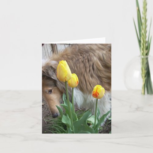 Take time to smell the flowers Collie note cards