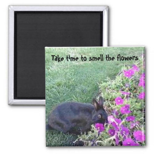 Take time to smell the flowers magnet
