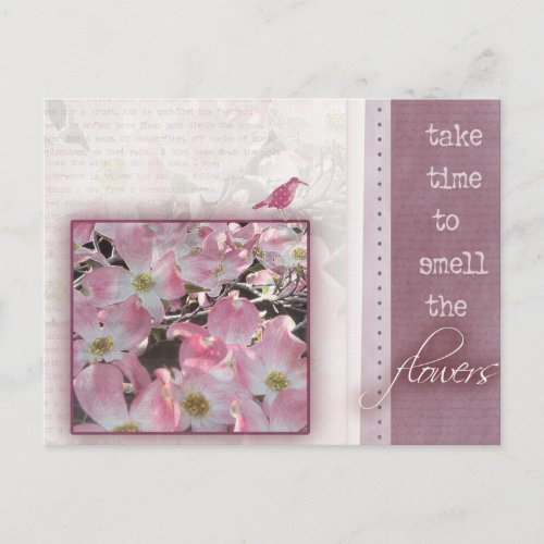 Take time to smell the flowers postcard