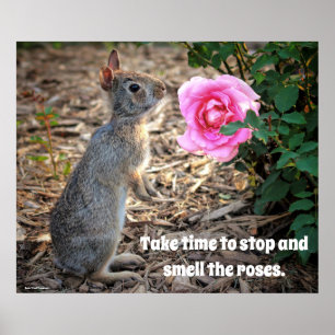 Take Time To Smell the Roses Poster