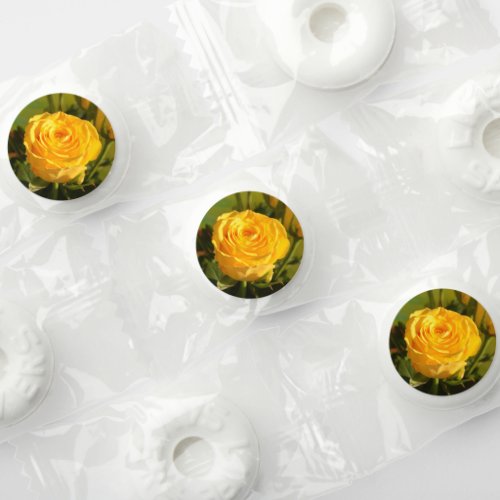 Take time to smell the yellow rose life saver mints