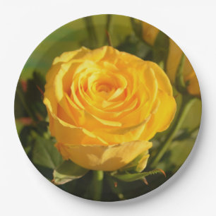 Take time to smell the yellow rose paper plates