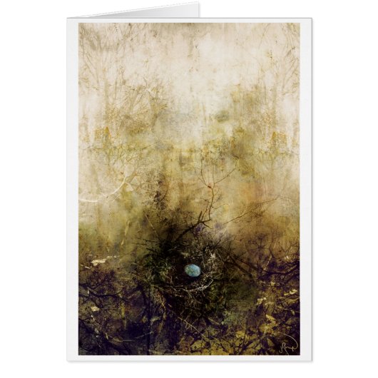 take to the sky (Front)