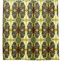 Taken the Possession of Optices