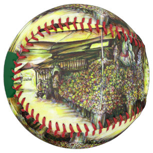 Taken the Possession of Optices Softball