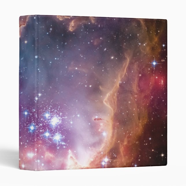 Taken Under the Wing of ..  Binder (Front/Spine)