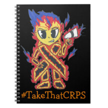 #TakeThatCRPS Notebook