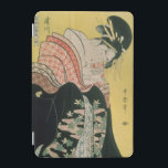 Takigawa from the Tea-House, Ogi iPad Mini Cover<br><div class="desc">Takigawa from the Tea-House,  Ogi | by Kitagawa Utamaro | Art Location: Pushkin Museum,  Moscow,  Russia | Japanese Artist | Image Collection Number: BAL114573</div>
