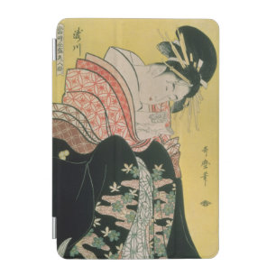 Takigawa from the Tea-House, Ogi iPad Mini Cover