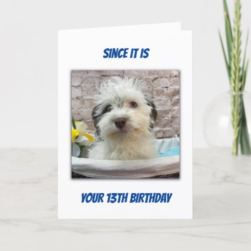 TAKING A BATH FOR YOUR 13th BIRTHDAY Card