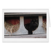 taking a break (Front Horizontal)