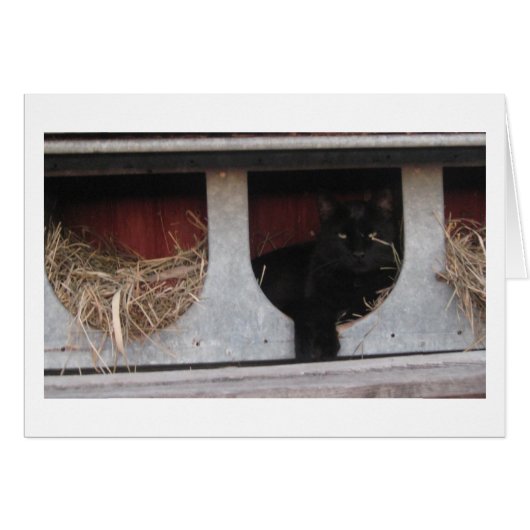 taking a break (Front Horizontal)