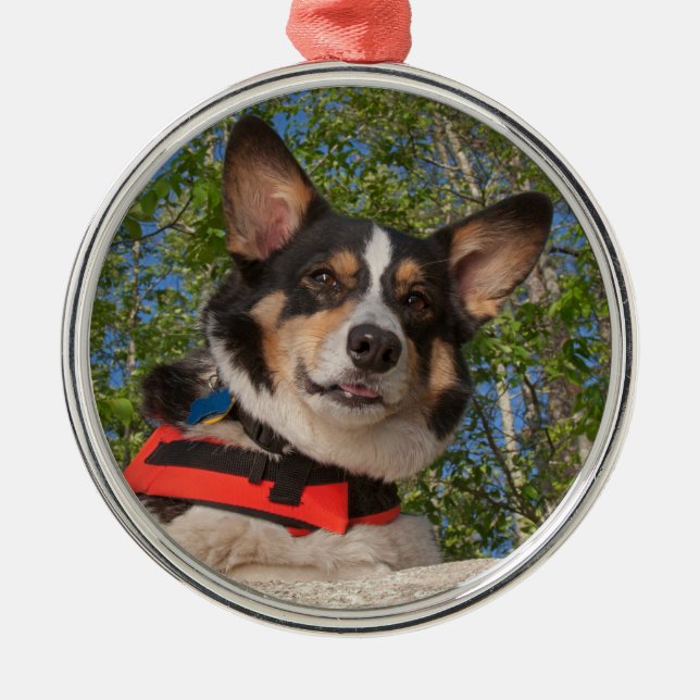 Taking a Break Metal Ornament (Front)