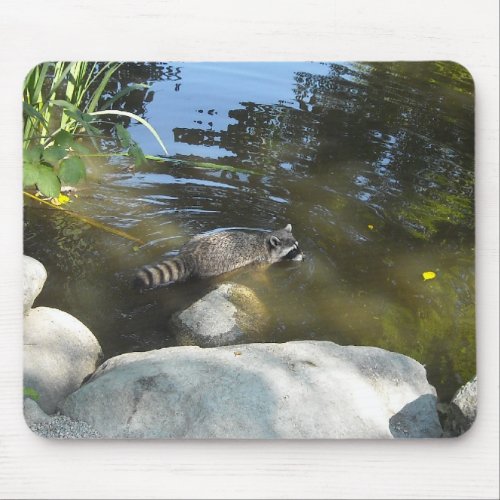 Taking a Dip _ Raccoon Mouse Pad