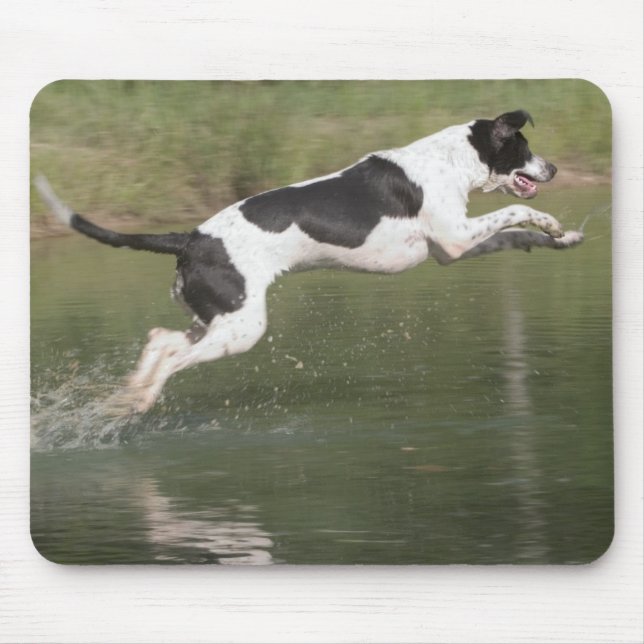 Taking a dive mouse pad (Front)