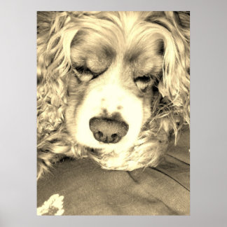 Taking a Moment Poster