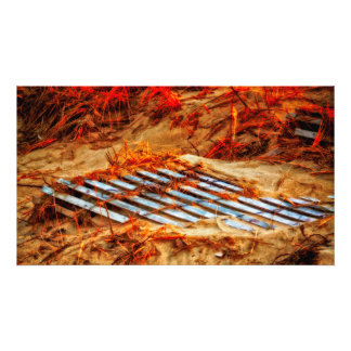 Taking Back The Beach Photo Print