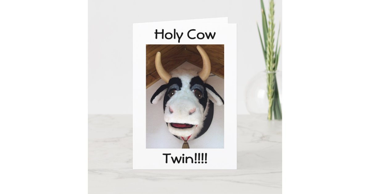Why Do We Say 'Holy Cow'?