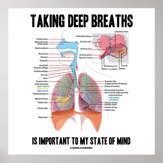 Taking Deep Breaths Is Important To My State Mind Poster