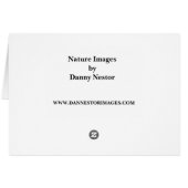 Taking Flight Cards (Back Horizontal)
