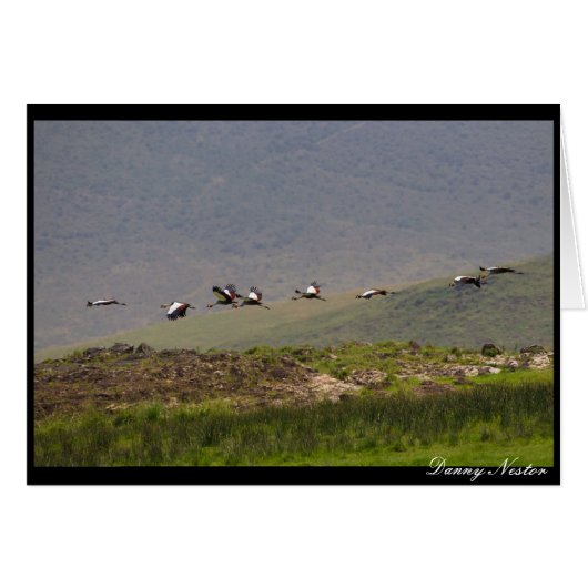 Taking Flight Cards (Front Horizontal)