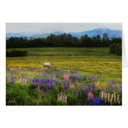Taking in the View Cards (Front Horizontal)
