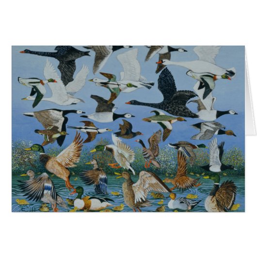 Taking Off 1996 Cards (Front Horizontal)