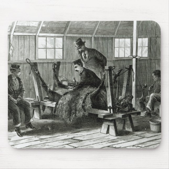 Taking virus from the calf mouse pad (Front)